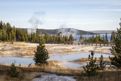 West Thumb Geyser Basin Yellowstone NP 2024